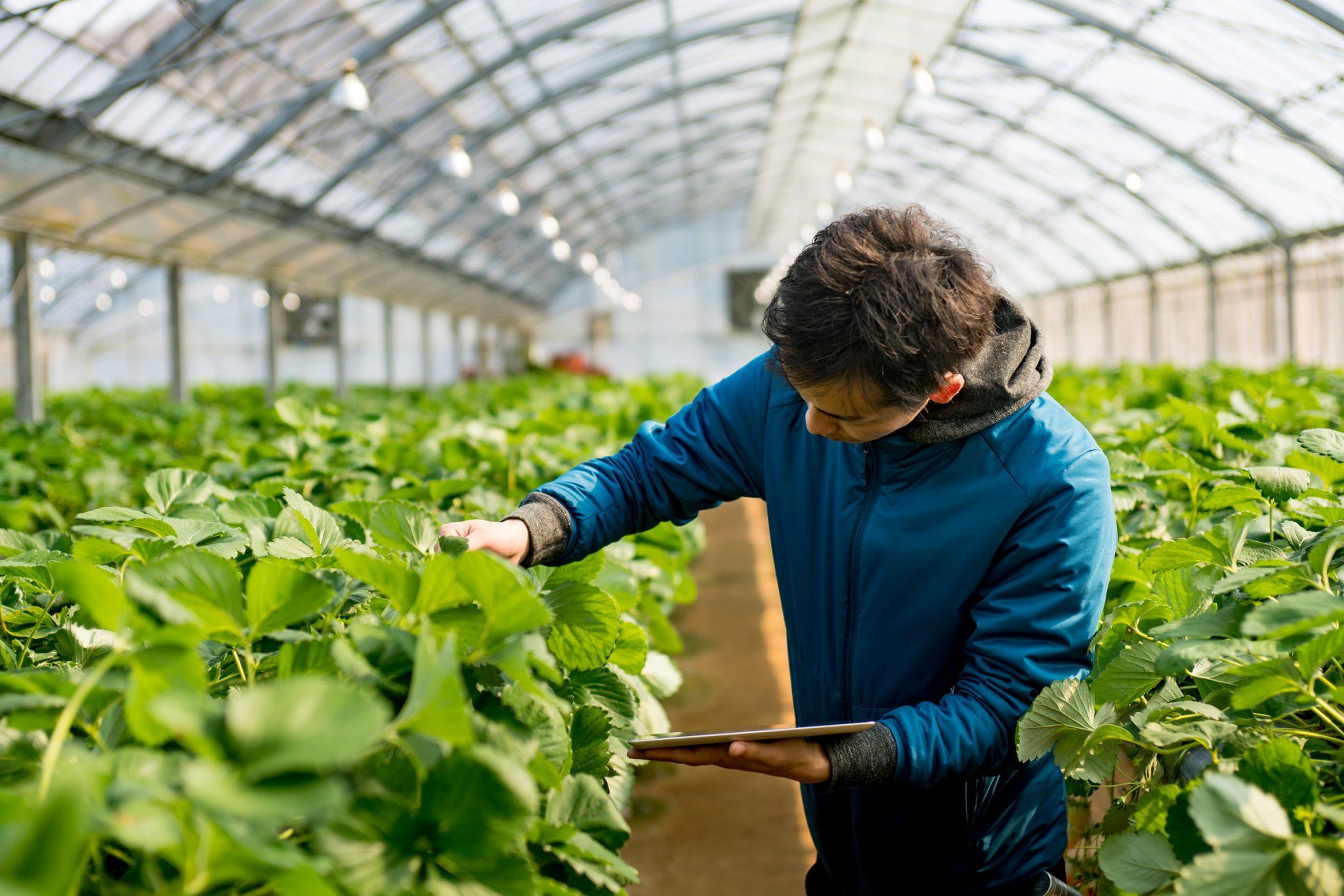 AgroTech Sektöründe Yükseliş Potansiyeli